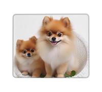 Cute Pomeranian Mouse Pad with Stitched Edge, Personalized Premium-Textured Computer Mouse Mat with Non-Slip Rubber Base, Waterproof Gaming Mousepad for Laptop, Office Home 8.3 x 10.3 in