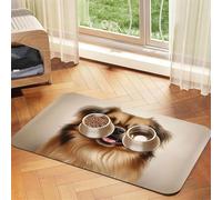 Cute Pomeranian Pet Feeding Mat Dog Cat Eating Food Absorbent Leather Tablecloth for and Water Bowl Waterproof No Stains Quick Dry Non-Slip 23.62 * 15.75IN