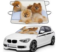 Cute Pomeranian Print Automotive Windshield Frost Cover Protector For Winter Use, Ice Snow Protector Covers For Car