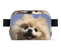 Cute Pomeranian Print Unisex Waist Bag Wear-Resistant Belt Bag Hip Bag with Adjustable Strap for Hiking and Travel