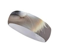 Cute Pomeranian Sports Headbands Wide Non-Slip Workout Sweatband Elastic Stretch Athletic Headband for Running Cycling Football Yoga Hairband for Women and Men