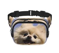 Cute Pomeranian Square Double Layer Waist Bag Belt Fanny Pack Purse with Adjustable Strap, Running, Travel, Hiking