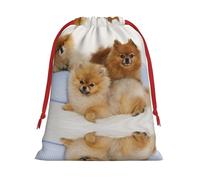 Cute Pomeranian Ultra Soft Velvet Gift Bag, Comfortable To The Touch, Reusable