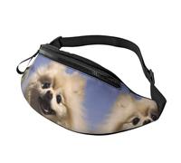 Cute Pomeranian Waist Bag Bumbags for Men Women, Print Polyester Waist Pack for Travel Walking Sport with Adjustable Strap