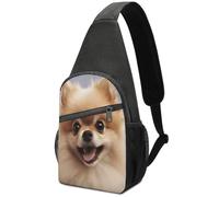 Cute Pomeranian Waterproof Sling Bag Crossbody Chest Pack with USB Port, Lightweight Oxford Anti Theft Chest Bag for Men Women Travel Hiking Cycling Daily Use