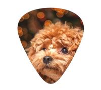 Cute Poodle,12 Pcs Guitar Pick,3 Different Thickness Plectrums for Acoustic Guitar Bass Ukulele (0.46mm 0.96mm 0.71mm)