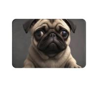 Cute Pretty Pug Dog Printed Door Mat, Indoor Washable Door Mat Non Slip Entry Rug for Entryway Kitchen Bathroom Doorway Floor Decor