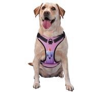 Cute Pumpkin Dog Harness For Small, Medium, And Large Dogs â€“ Reflective Straps, Adjustable Fit With Quick-Release Buckles