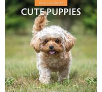 Cute Puppies - 2026 Square Wall Calendar - by Red Robin Publishing