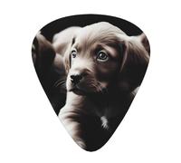 Cute puppies dog Print Guitar Picks 12-Pack - Assorted Thickness Picks (0.46mm, 0.71mm, 0.96mm) with Storage Box & Assorted Unique Design for Acoustic, Electric, Bass, and Ukulele Players
