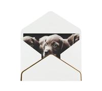 Cute puppies dog Printed Pearl Paper Greeting Card, White - Folded Blank Cards with Gold Trim for Weddings, Birthdays, Christmas