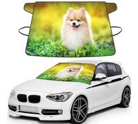 Cute Puppy Dog In Spring Park, Car Windshield Cover, Protective Windscreen Cover - Snow Ice Sun UV Dust Water Resistant - Fit for Most Cars