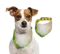 Cute Puppy Dog In Spring Park,Pet Bib Scarf Cats Dog Bandana Dogs Towel Bib Adjustable Pet Scarf,L
