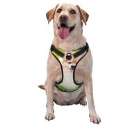 Cute Puppy Dog In Spring Park,Pet Harness,Adjustable Reflective Dog Harness,Pet Leash Vest,S