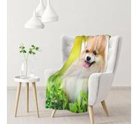 Cute Puppy Dog In Spring Park,Soft Blanket Warm Anti-Pilling Flannel Plush Throw Blanket 76 X 102 cm