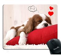 Cute Puppy Sleeping On A Pillow Dreaming Of A Bone Personality Desings Mouse Pad Portable Mouse Pads Non-Slip Mousepads For Computer Laptop Pc 25X30Cm