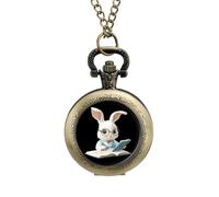 Cute Rabbit Mathematician Men's Pocket & Fob Watches Analogue Display Quartz Watch with Chain for Birthday Christmas Father's Day Coppery-Style