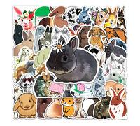 Cute Rabbit Stickers Pack, 50Pcs Waterproof Vinyl Lovely Bunny Aesthetic Scrapbook Stickers for Water Bottle Laptop Skateboard Bike Computer, Easter DIY Wall Windows Decal for Children Adult