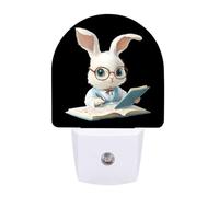 Cute RABIT Mathematician Funny LED Night Lights Plug Into Wall Smart Lighting for Hallways Kitchen Bedroom