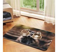 Cute Raccoon (1) Printing Pet Absorbent Tablecloth, Special Pad For Pet Bowls, Rollable For Storage, Ideal For Pet Bowls