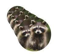 Cute Raccoon 4 Pcs Car Air Freshener Lavender Hanging Scented Cards Automotive Scented Hanging Sheets Round Shape For Car Home Office Closet Bathroom