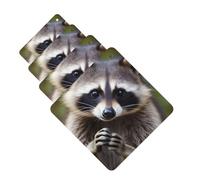 Cute Raccoon 4 Pcs Car Air Freshener Lavender Hanging Scented Cards Automotive Scented Hanging Sheets Square For Car Home Office Closet Bathroom