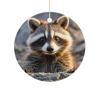 Cute Raccoon Ceramic Ornaments with Hanger Round Porcelain Ornaments Personalized Xmas Tree Keepsake Crafts Gift for Christmas and Thanksgiving Decoration