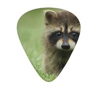 Cute Raccoon Fashion Printed,12 Pcs Guitar Pick,3 Different Thickness Plectrums for Acoustic Guitar Bass Ukulele (0.46mm 0.96mm 0.71mm)