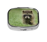 Cute Raccoon Fashion Printed,Meta Pill Box 2 Compartment Medicine Case,Portable Organizer,Rectangle Meta Portable Organizer Pill Box 1721 Compartment Medicine Case