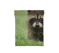 Cute Raccoon Fashion Printed, Squeeze Top Wallet Women Storage Bag Small Coin Purse Change Pouch
