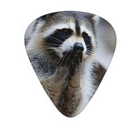 Cute Raccoon Guitar Pick 12 Picks Fashion Personalized Bass Pick Durable Electric Guitar Plectrums Instrument Accessories