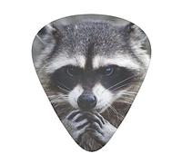 Cute Raccoon Guitar Picks 12 Pcs Classical Triangle Guitar Plectrums Includes Thin, Medium & Heavy Gauges 3 Sizes for Bass Electric Acoustic Guitars Ukulele with Organizer Storage Box