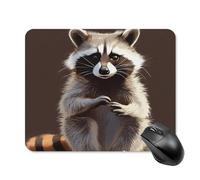 Cute Raccoon Mouse Pad Square Laptop Mouse Mat Cute Computer Mousepad Keyboard Pad Non-Slip Desk Pads for Gaming Office Work Home 20 * 25cm