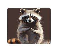 Cute Raccoon Mouse Pad Waterproof Gaming Mousepad for Office Computer Mousepads for Desk Pad with Non-Slip Rubber Base Washable Cloth Mouse Mat 8.3 x 10.3 in