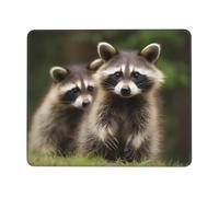 Cute Raccoon Mouse Pad Waterproof Gaming Mousepad for Office Computer Mousepads for Desk Pad with Non-Slip Rubber Base Washable Cloth Mouse Mat 8.3 x 10.3 in
