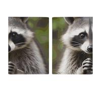 Cute Raccoon Passport Holder, ID Card Protector Case Passport Holder with Slot Passports Travel Wallet Document Cover for Women And Men