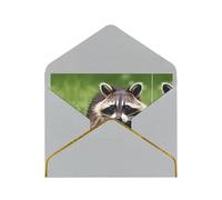 Cute Raccoon Print Horizontal Gold-Edged Pearl Greeting Card W/Envelope-Holiday,Birthday,Anniversary,Party(2pcs)