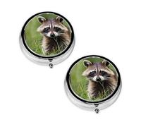 Cute Raccoon Print Pill Box 3 Compartment Medicine Pill Case,Portable for Pocket Or Purse Pill Organizer Decorative Metal Medicine Vitamin Organizer Unique Gift