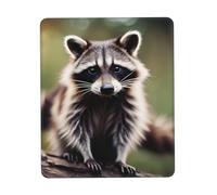Cute Raccoon Print Small Desk Pad,Rubber Base with Precision Stitched Edges,Perfect for Office,Gaming