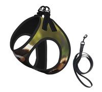 Cute Raccoon Print Small Dog Harness with Leash Set, No Escape Easy Walk Puppy Harnesses for Training Walking