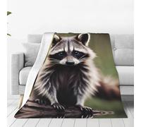 Cute Raccoon Print Soft Fleece Throw Blanket,Lightweight Fleece Blankets for Bed, Sofa, Camping.