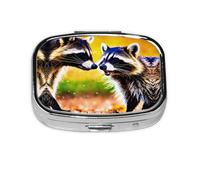 Cute Raccoon Print Square Pill Box,Portable for Pocket Or Purse Pill Organizer Pill Container Holder