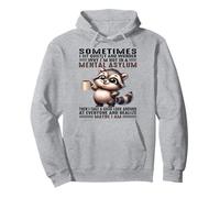 Cute Raccoon Sometimes I Sit Quietly And Wonder Why Pullover Hoodie
