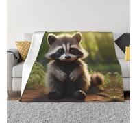 Cute Raccoon Ultra-Soft Micro Fleece Blanket Throw, Cozy, Lightweight, And Warm For Bed, Couch, Sofa