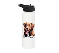 Cute Red Drawing Cartoon Nova Scotia Duck Tolling Retriever Stainless Steel Insulated Water Bottle