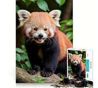 Cute Red Panda on Branch Puzzles for Teenagers 1000 Piece Recall Power Bright Detail Family Activity Room Accent (38x52cm)