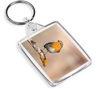 Cute Red Robin Bird Keyring - IP02 - Garden Animals Birds Fun #2062