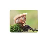 Cute Red Squirrel Mouse Mat Pad - Wildlife Forest Animal Computer #15791