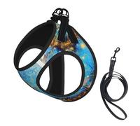 Cute Retro Rust Butterfly Printing Dog Summer Harness With Leash Set,Adjustable And Reflective Step-In Puppy Pet Vest Harnesses