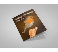 Cute Robin Happy Birthday Grandad Greeting Card 125mm x 178mm Including Envelope DG092